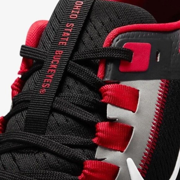 Nike Air Zoom Pegasus 38 OSU Ohio State Buckeyes Shoes Men DJ0837-001 - Picture 9 of 16